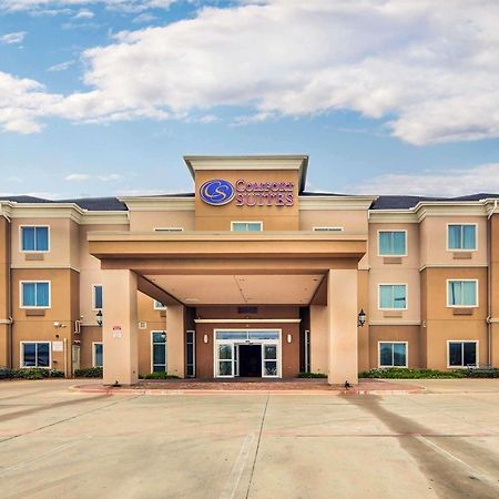 Comfort Suites Fort Worth South Exterior foto